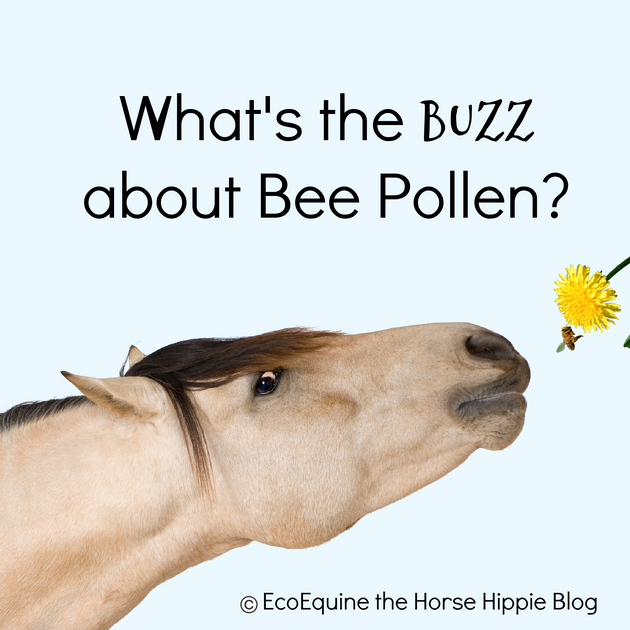 What is the Buzz about Bee Pollen? Horse Hippie