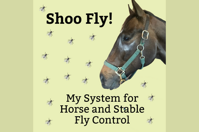 Shoo Fly! My Fly Control System