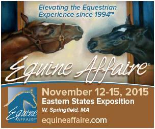 Preparations for Equine Affaire and a New Brand!!