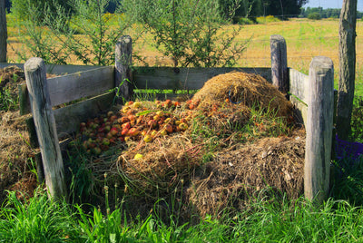 Composting Horse Manure