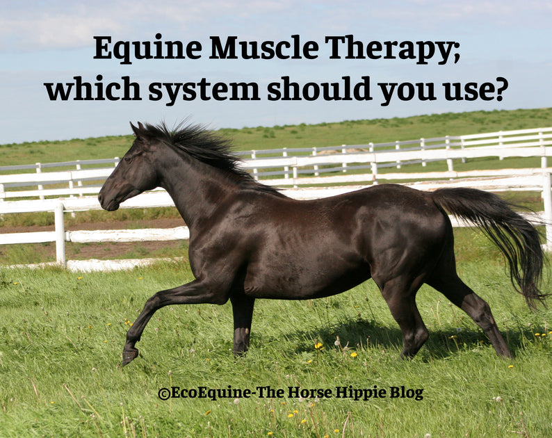 Equine Muscle Therapy; which system should you use? Horse Hippie