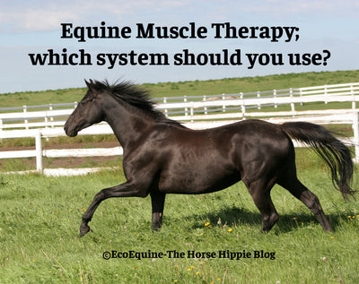 Equine Muscle Therapy; which system should you use?