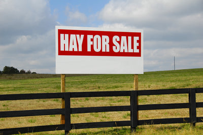 7 Tips For Buying Baled Horse Hay