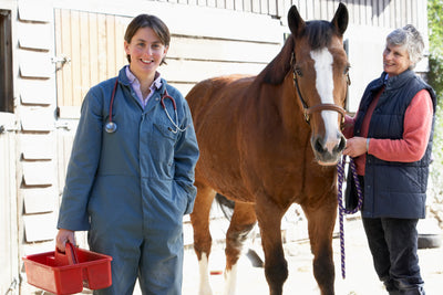 What Does Your Horse's Blood Test Mean?