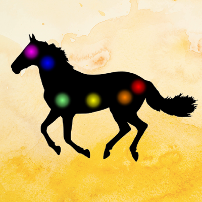Beginners Guide To Chakras in You &amp; Your Horse