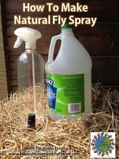 How To Make Natural Fly Spray For Your Horse