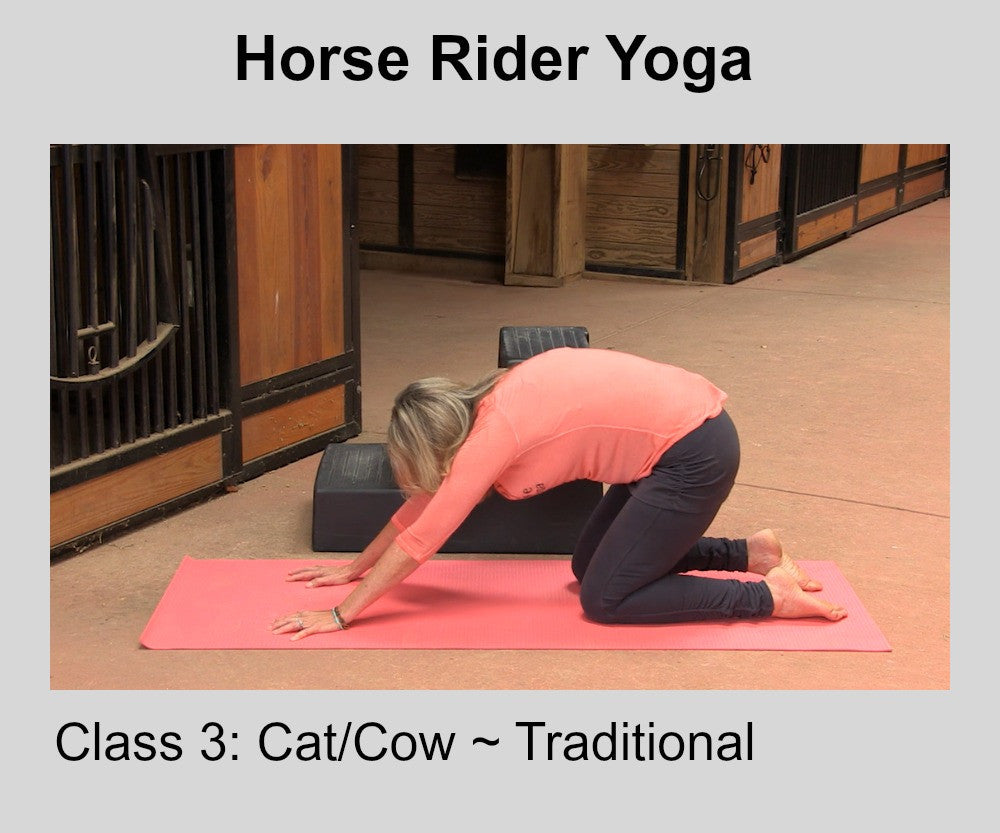 Horse Rider Yoga- Class Three-Cat/Cow & Reverse Triangle Poses Digital  Download