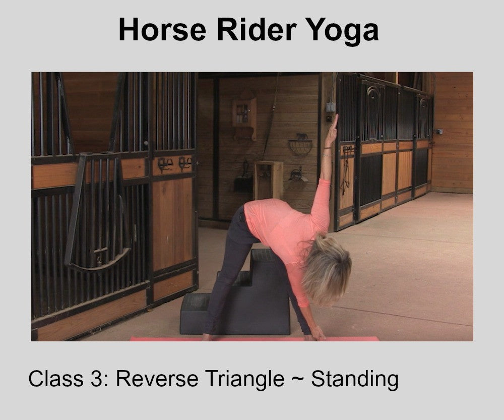 Horse Rider Yoga- Class Three-Cat/Cow & Reverse Triangle Poses Digital –  Horse Hippie