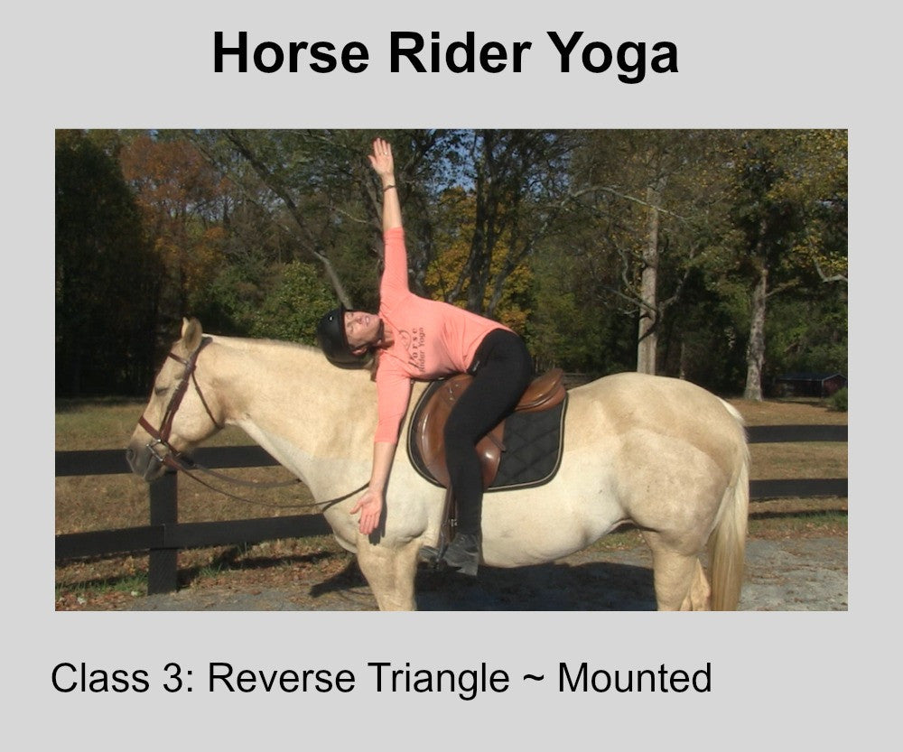 Horse Rider Yoga- Class Three-Cat/Cow & Reverse Triangle Poses Digital –  Horse Hippie